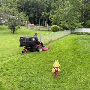 518 Turf Busters LLC
